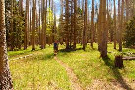 go for a walk