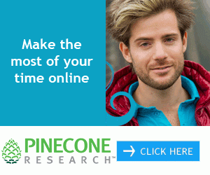 Pinecone Research Surveys