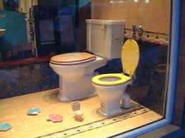Baby proof toilet