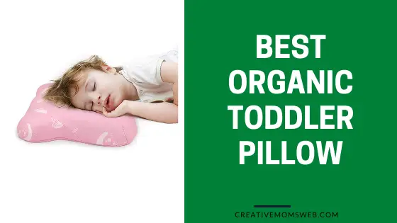 Organic toddler pillow